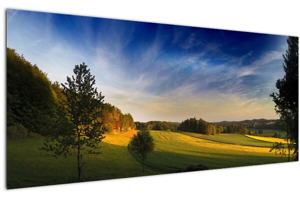 Kép - Hegyi rét (120x50 cm)
