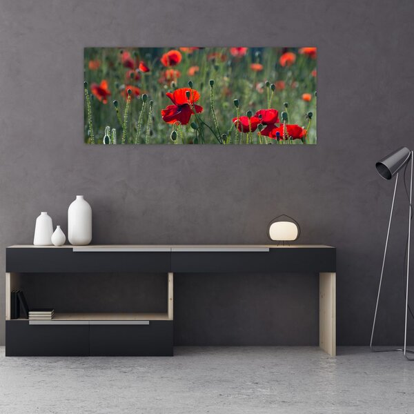Kép - Rét mák virággal (120x50 cm)