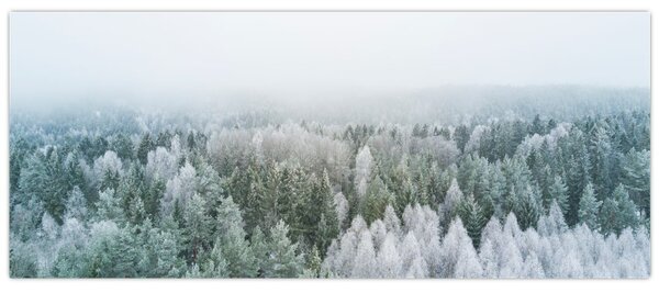 Kép - Havas erdőcsúcsok (120x50 cm)