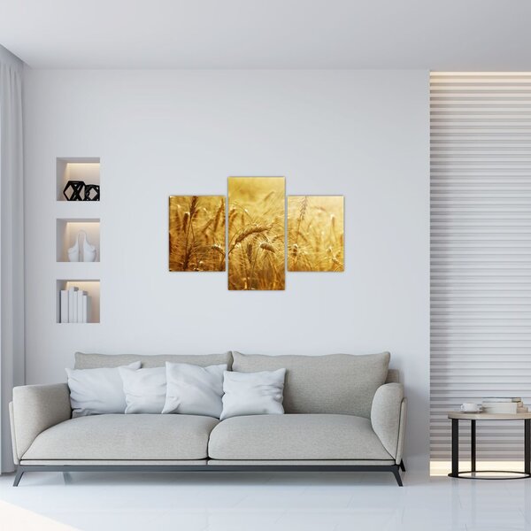 Kép - Gabonafül (90x60 cm)