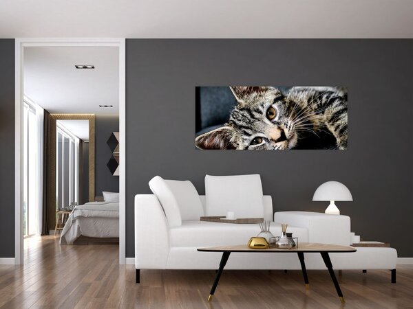 Kép - Cica (120x50 cm)