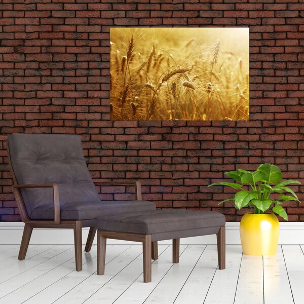 Kép - Gabonafül (90x60 cm)