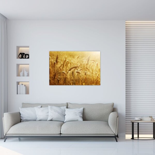 Kép - Gabonafül (90x60 cm)