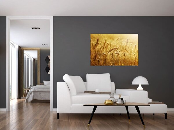 Kép - Gabonafül (90x60 cm)
