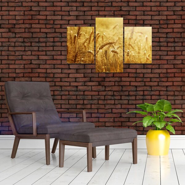 Kép - Gabonafül (90x60 cm)