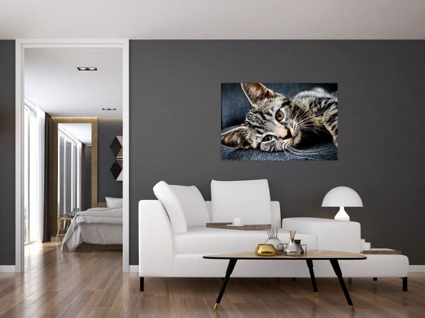Kép - Cica (90x60 cm)