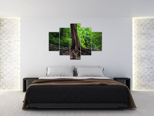 Kép - Öreg fa gyökere (150x105 cm)