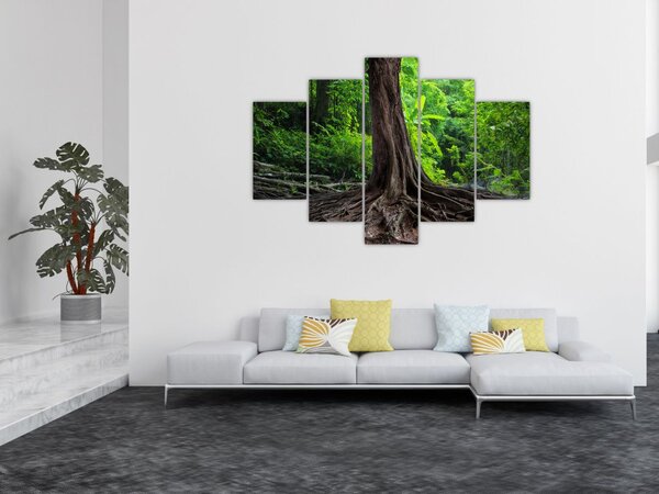 Kép - Öreg fa gyökere (150x105 cm)