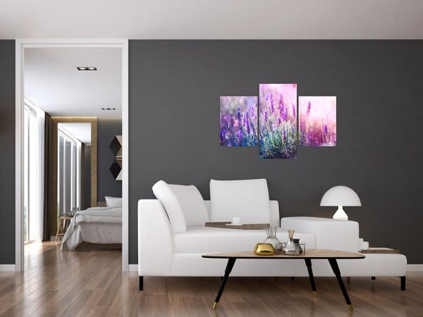 Kép - Levendula a csillogó napban (90x60 cm)