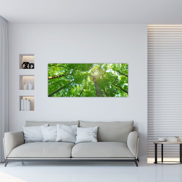 Kép - Erdő (120x50 cm)