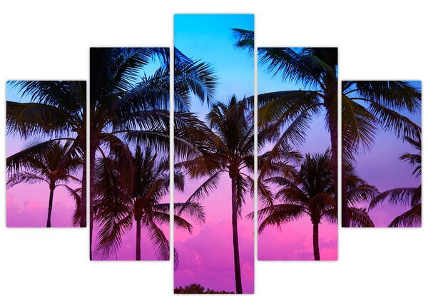 Kép - Pálmafák Miamiban (150x105 cm)