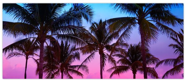 Kép - Pálmafák Miamiban (120x50 cm)