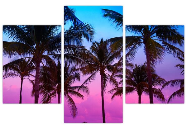 Kép - Pálmafák Miamiban (90x60 cm)