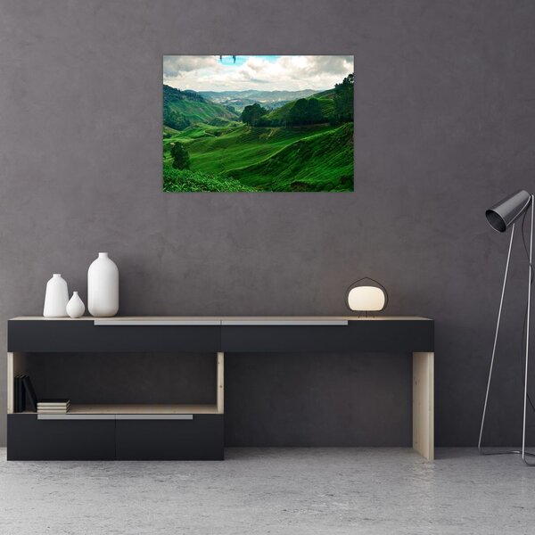 Kép - Teaültetvények Malajziában (70x50 cm)