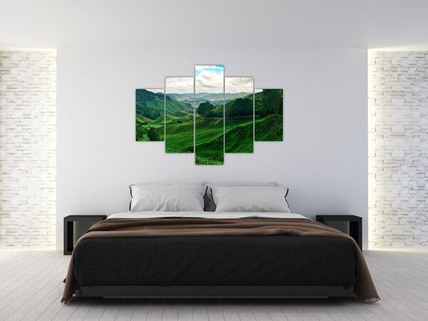 Kép - Teaültetvények Malajziában (150x105 cm)
