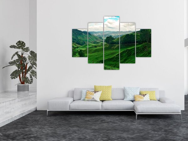 Kép - Teaültetvények Malajziában (150x105 cm)