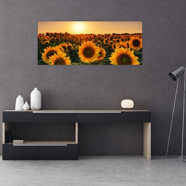 Kép - Napraforgó (120x50 cm)