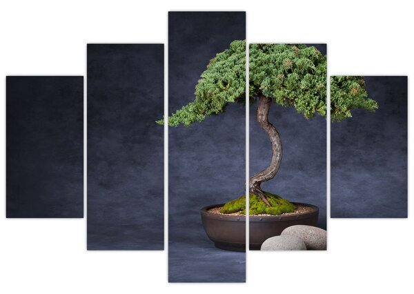 Kép - Bonsai (150x105 cm)