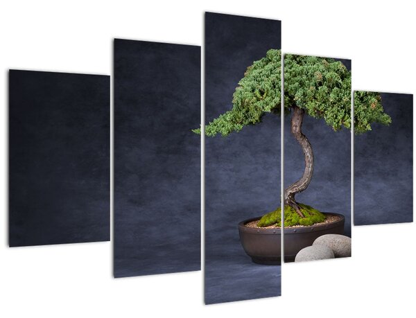 Kép - Bonsai (150x105 cm)