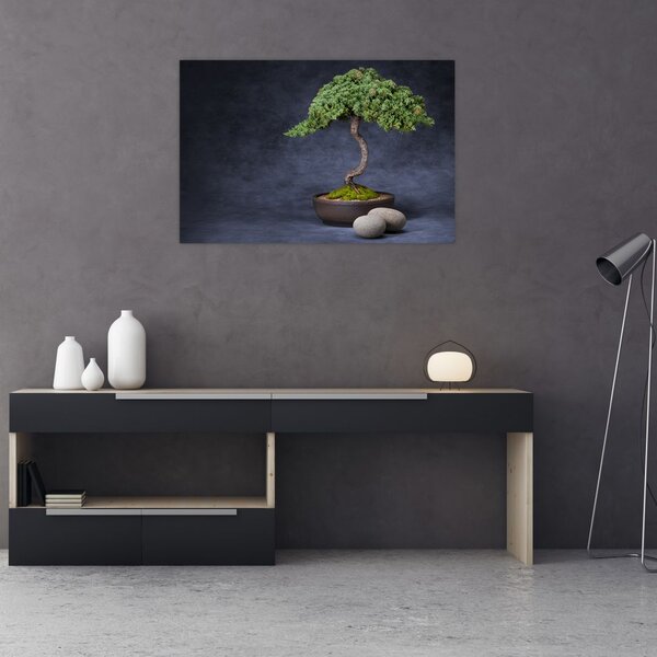 Kép - Bonsai (90x60 cm)