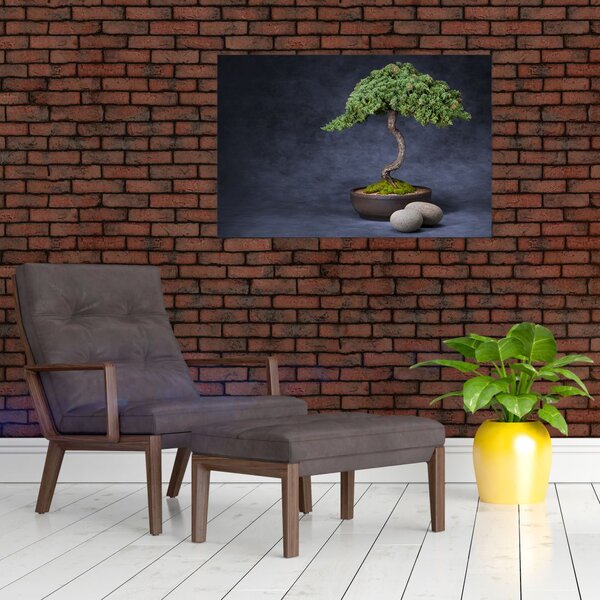 Kép - Bonsai (90x60 cm)