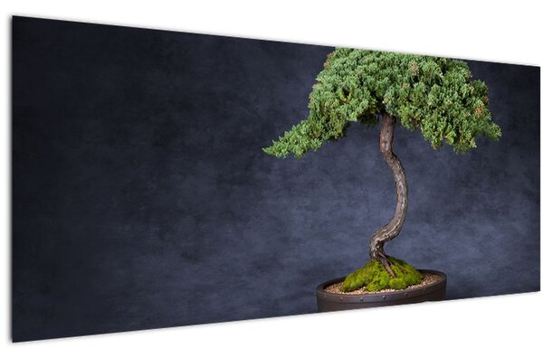 Kép - Bonsai (120x50 cm)