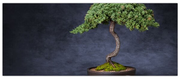 Kép - Bonsai (120x50 cm)