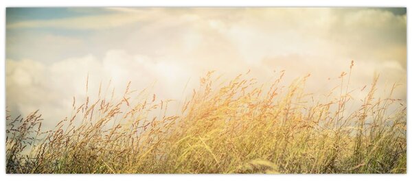 Kép - Mező ősszel (120x50 cm)