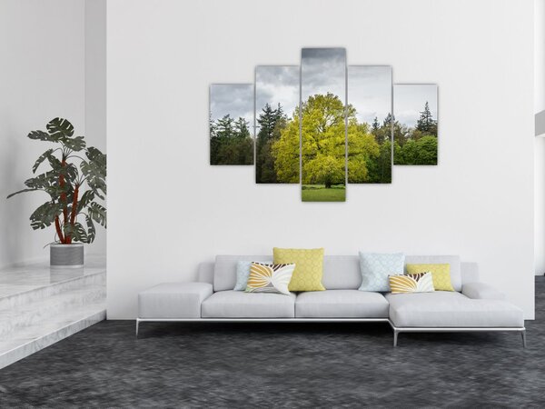 Egy zöld fa képe a mező közepén (150x105 cm)