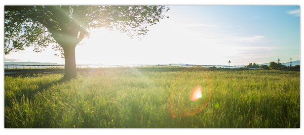 Egy fa képe a mezőn (120x50 cm)