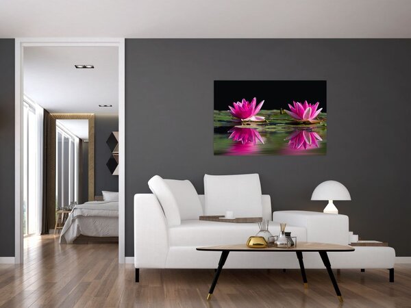A tavirózsa képe a vízen (90x60 cm)