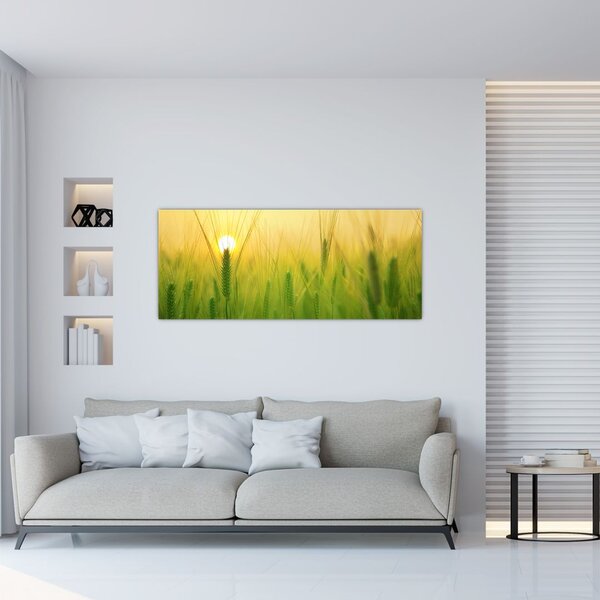Kép - Mező gabonával (120x50 cm)