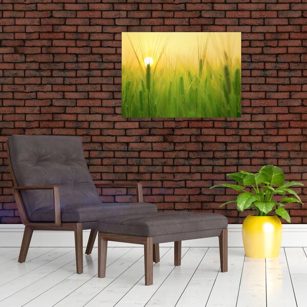 Kép - Mező gabonával (70x50 cm)