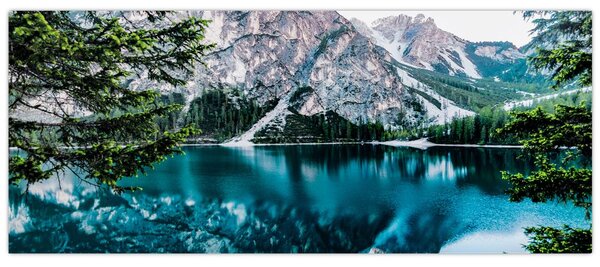 Egy kép az Alpokban (120x50 cm)