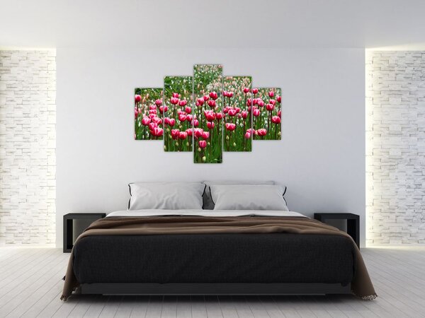 Tulipán képe (150x105 cm)