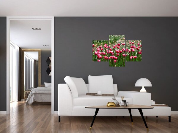 Tulipán képe (90x60 cm)