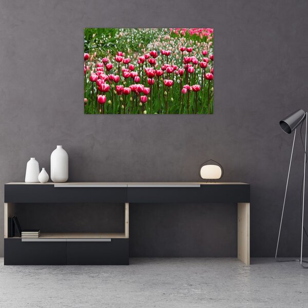 Tulipán képe (90x60 cm)