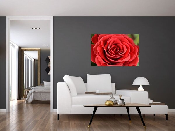 Egy rózsa virág képe (90x60 cm)