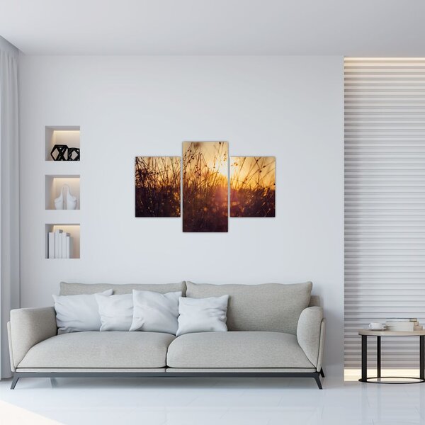 A mező képe naplementekor (90x60 cm)