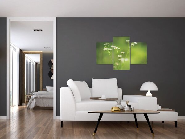 Egy százszorszép képe (90x60 cm)