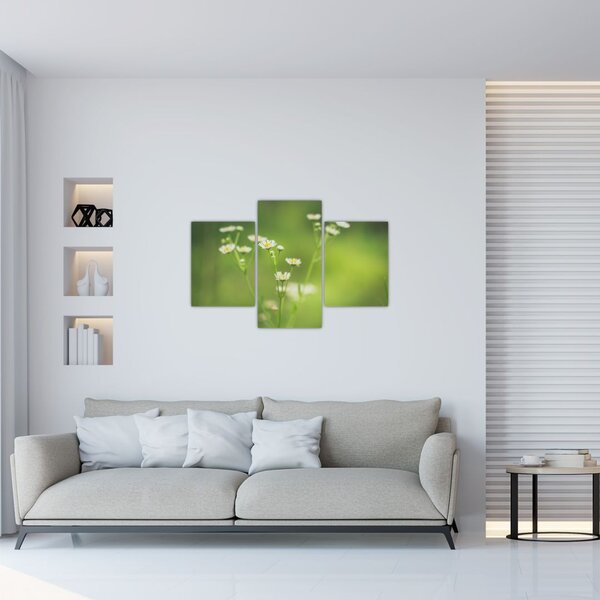 Egy százszorszép képe (90x60 cm)