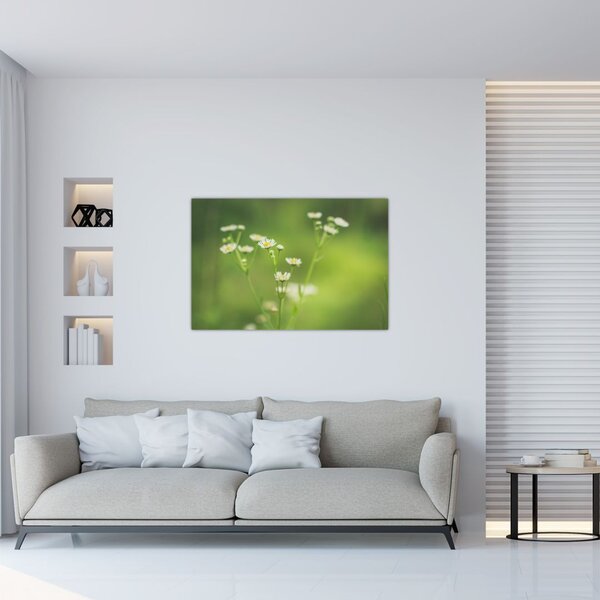 Egy százszorszép képe (90x60 cm)