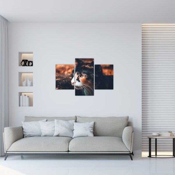 Kép - A macska látképe (90x60 cm)