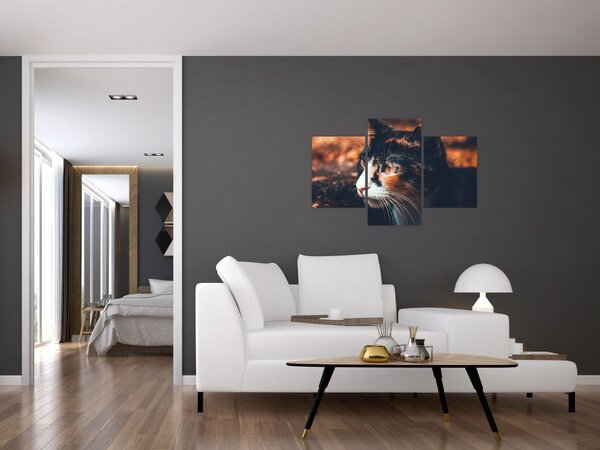 Kép - A macska látképe (90x60 cm)