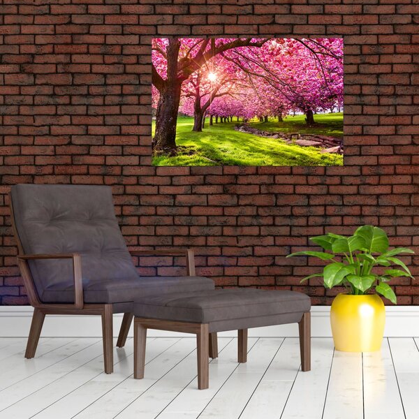 A virágzó cseresznye képe, Hurd Park, Dover, New Jersey (90x60 cm)