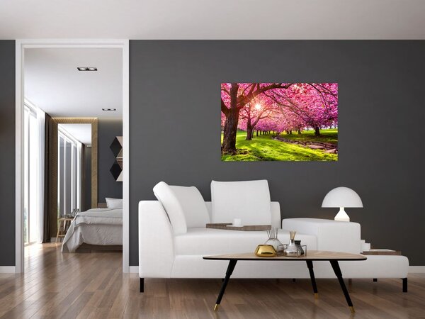 A virágzó cseresznye képe, Hurd Park, Dover, New Jersey (90x60 cm)