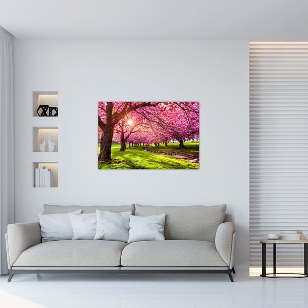 A virágzó cseresznye képe, Hurd Park, Dover, New Jersey (90x60 cm)