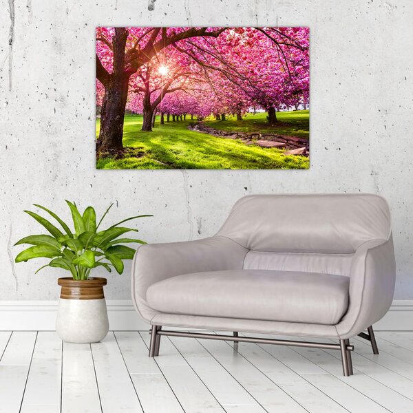 A virágzó cseresznye képe, Hurd Park, Dover, New Jersey (90x60 cm)