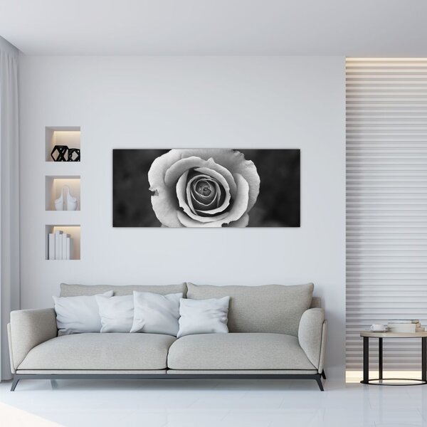 Egy rózsa képe (120x50 cm)