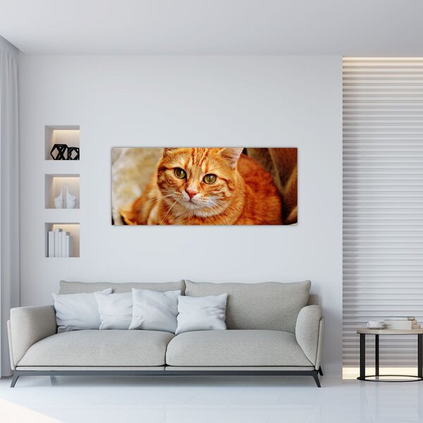 Egy fekvő macska képe (120x50 cm)